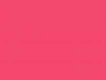 Why should you audit your company?